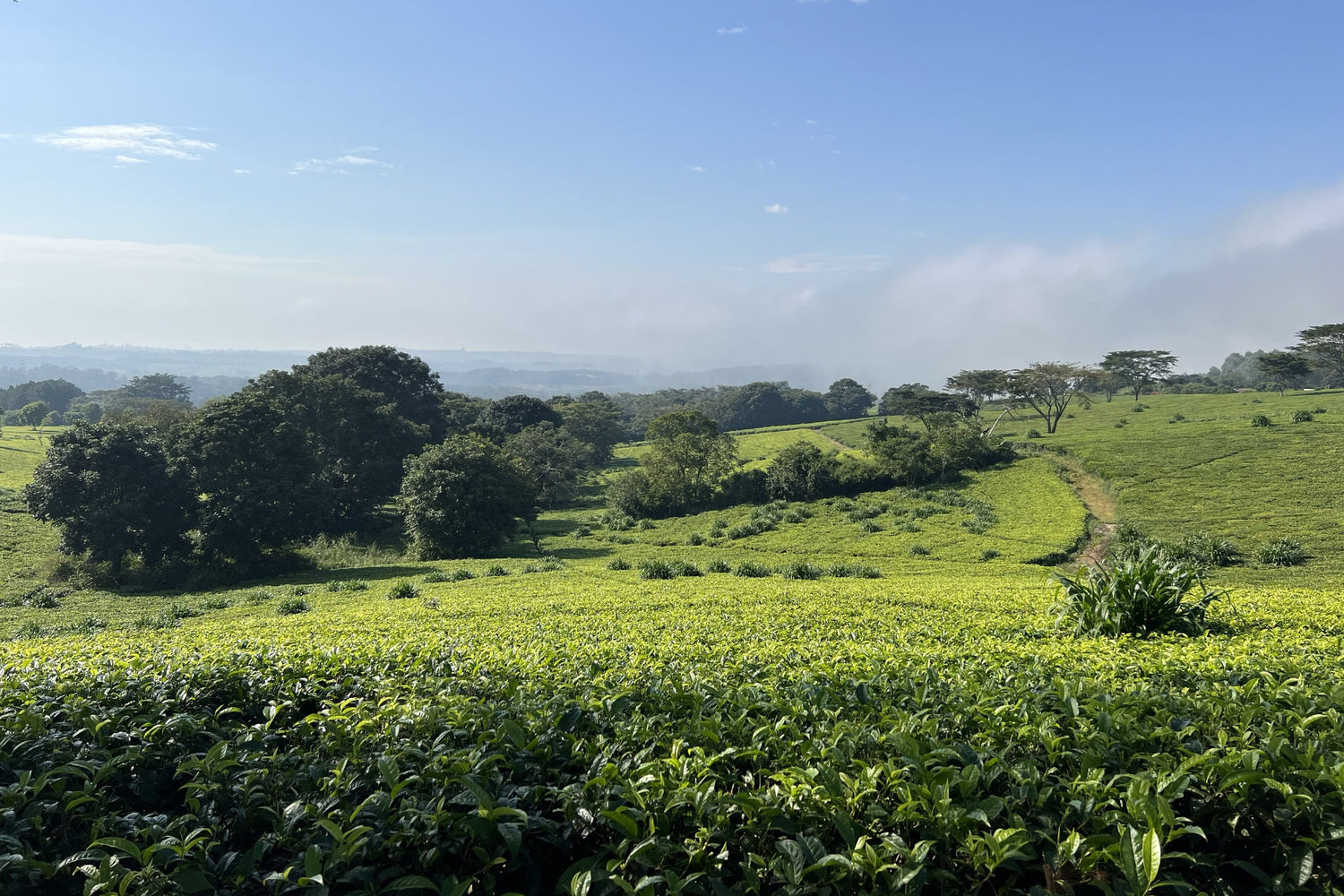 Landschaft Malawis