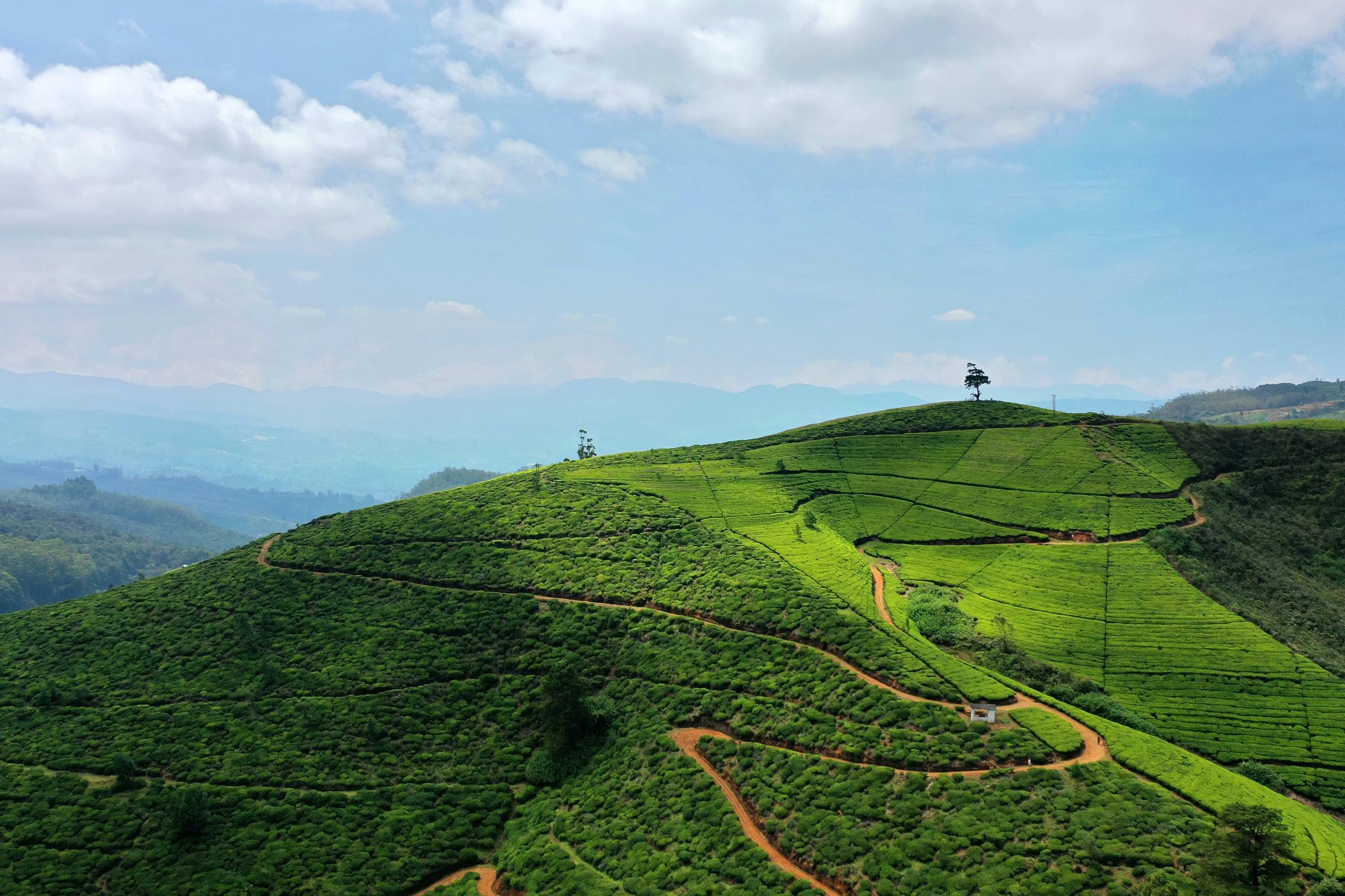 Hügelige Landschaft auf Sri Lanka