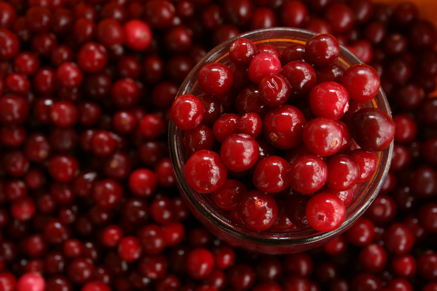 Cranberries