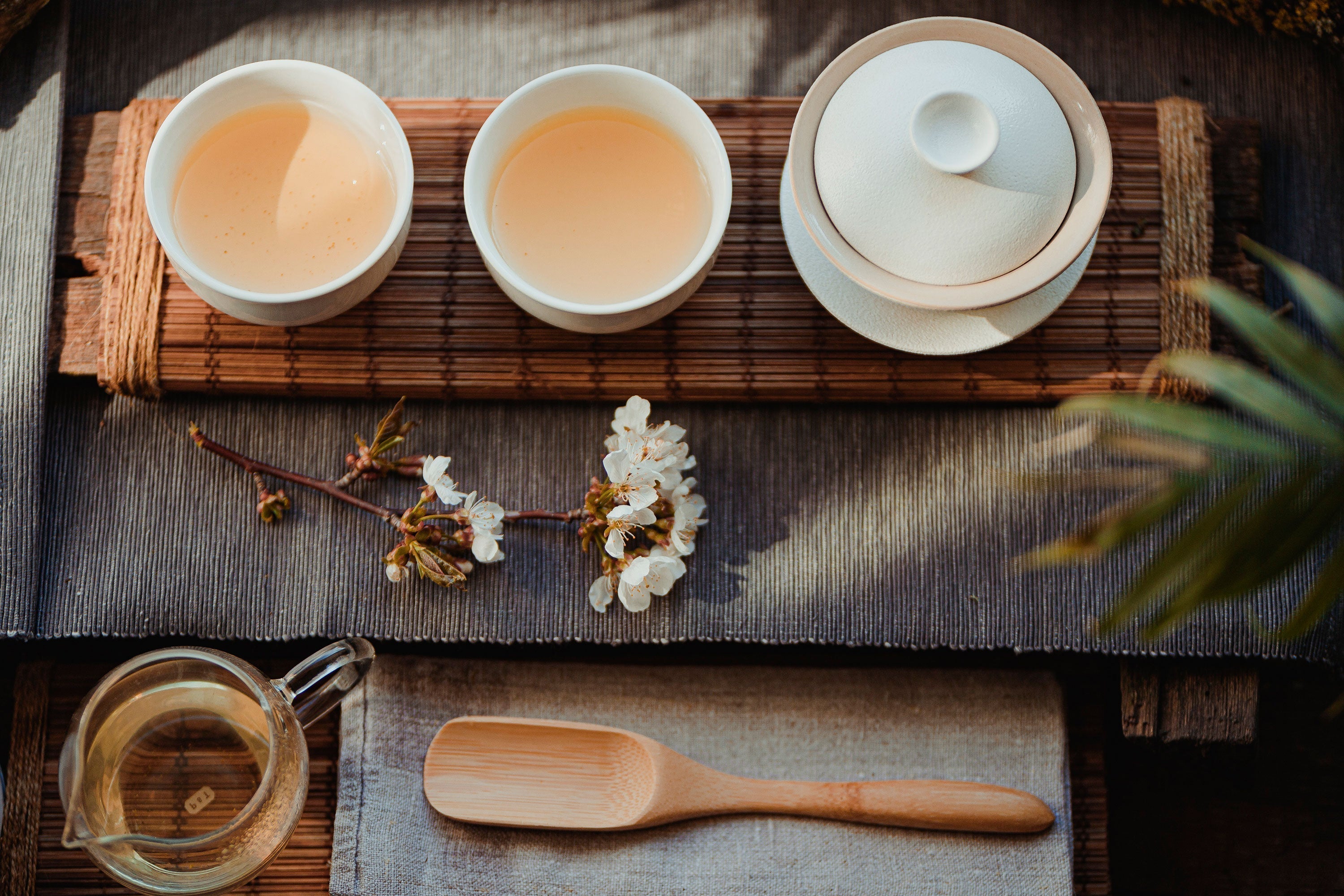 Ein Gaiwan Set mit Weisstee