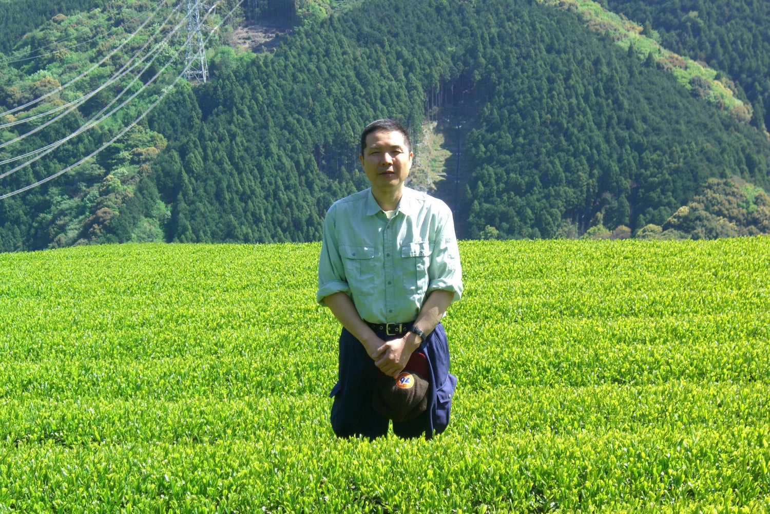 Japanischer Tee-Farmer in Teefeld