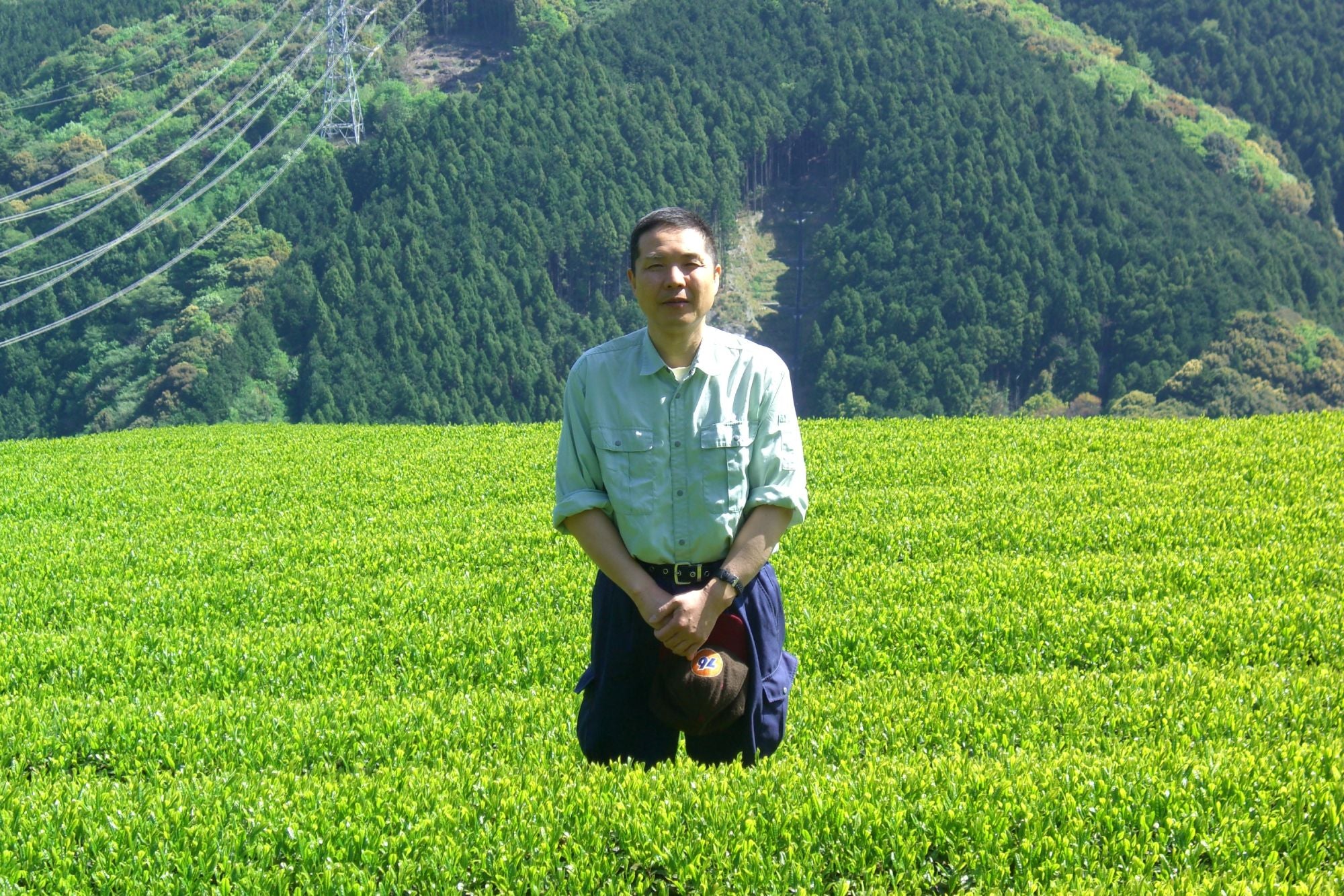 Japanischer Tee-Farmer in Teefeld